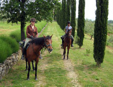 Italy-Tuscany-Seven Castles Ride in Chianti